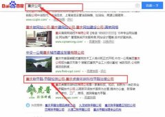 重慶虎普環(huán)??萍加邢薰竞捅竟竞灱sSEO推廣合同