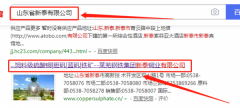 萊蕪鋼鐵集團(tuán)新泰銅業(yè)有限公司與本司簽約建網(wǎng)站項目