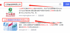 江西*晶新材料股份有限公司網(wǎng)站建設(shè)展示型案例作品