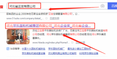 河北*樂面粉機械集團有限公司網站建設創(chuàng)意網站效果展示