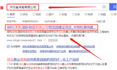 保*(灤南)國際物流有限公司網站建設案例欣賞