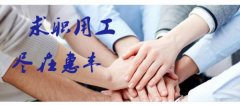江西省豐城市*豐勞動力資源開發(fā)有限公司網(wǎng)站建設有創(chuàng)意的主題設計