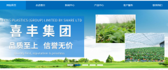 白山市喜*塑料(集團(tuán))股份有限公司網(wǎng)站設(shè)計(jì)營(yíng)銷(xiāo)型案例作品