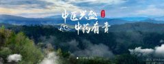普洱淞*醫(yī)藥集團有限公司網站建設新一代自助建站、智能建站系統