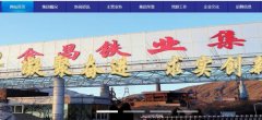 金昌鐵*(集團(tuán))有限責(zé)任公司網(wǎng)站設(shè)計可視化建站作品欣賞