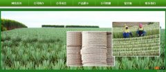 廣西玉林市長(zhǎng)*劍麻有限公司企業(yè)網(wǎng)站建設(shè)新一代自助建站、智能建站系統(tǒng)