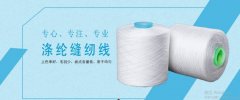 赤壁市天*線業(yè)有限公司做網站有創(chuàng)意的主題設計