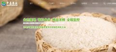 豐城市中*農(nóng)業(yè)發(fā)展有限公司網(wǎng)站建設新一代自助建站、智能建站系統(tǒng)