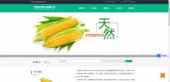 企業(yè)網站建設搜索引擎優(yōu)化技術在網站的應用